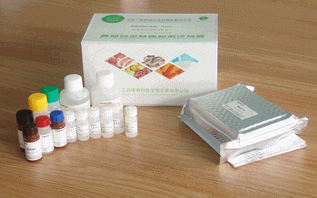 T-2毒素检测试剂盒
