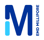 DVL-PDZ DOMAIN INHIBITOR, PEPTIDE PEN-N3