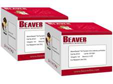 免疫沉淀磁珠BeaverBeads&#8482; Protein A(A/G)
