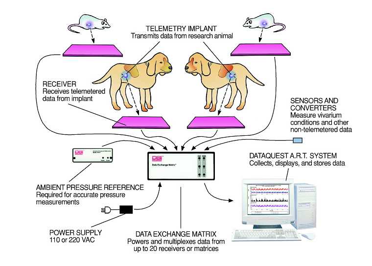 DSI清醒动物植入式生理信号测量分析系统