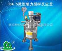江苏GSA-5微型磁力搅拌反应釜