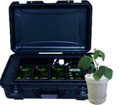 Q-BOX NF1LP植物固氮分析仪
