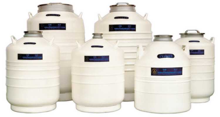 金凤液氮罐 YDS-30 含长提桶