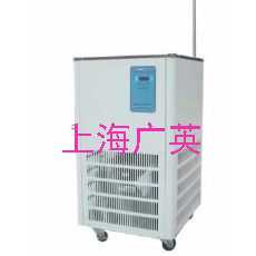 上海低温冷却液循环泵DLSB-10L/20°