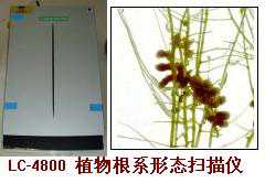 多参数植物根分析系统 植物根扫描仪 根测定仪