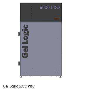 GL6000Pro多色荧光成像