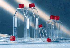 康宁细胞培养瓶，75cm&sup2;，透气盖