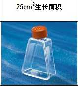 25cm三角斜口细胞培养瓶