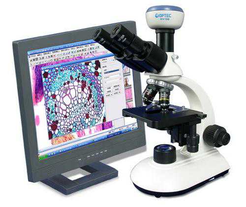 B系列生物显微镜