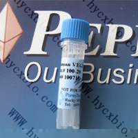 大鼠干扰素诱导蛋白10(Recombinant Rat IP-10)
