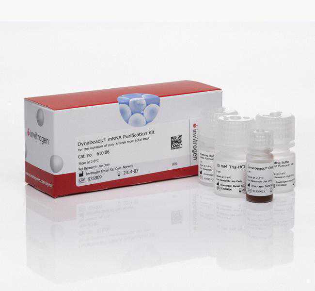 Dynabeads&reg; mRNA Purification Kit for mRNA Purification from Total RNA Preps