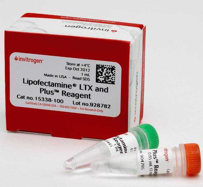 Lipofectamine™ LTX & Plus Reagent