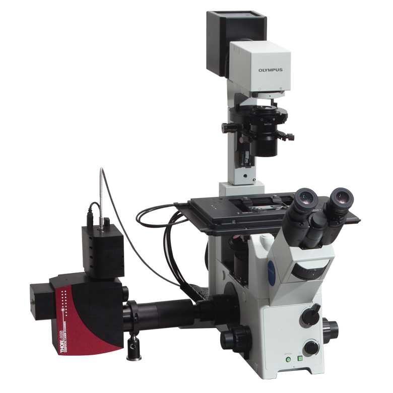 Thorlabs共聚焦荧光显微镜系统