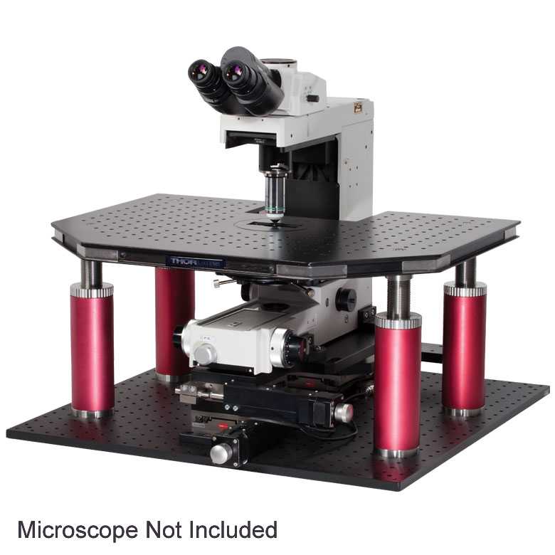 Thorlabs多光子显微镜系统