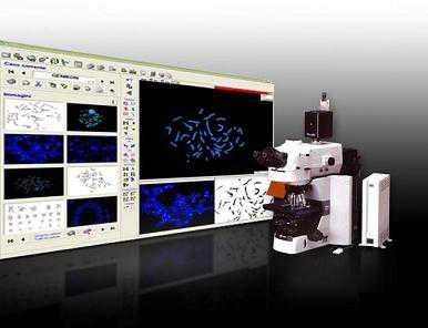 KARYO染色体核型图像分析系统