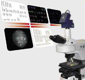 Geneformation FISH荧光原位图像分析系统