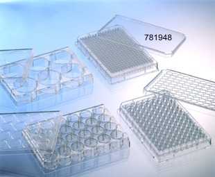 多聚L赖氨酸蛋白预包被培养板，384孔，F底，clear底