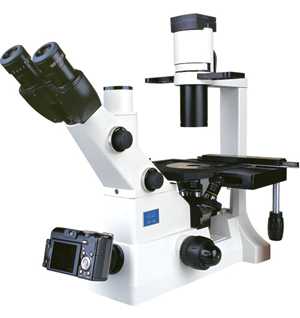 XD-202生物 显微镜