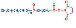 mPEG-SS 单甲氧基聚乙二醇琥珀酰亚胺琥珀酸酯/聚乙二醇单甲基琥珀酰亚胺碳酸酯