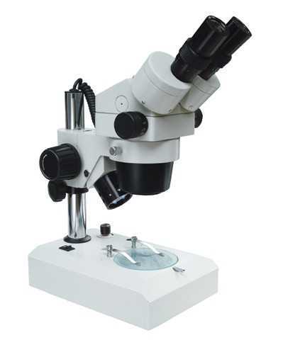 XTL-400（桂光）显微镜
