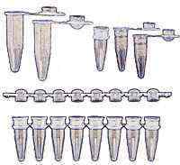 PCR管/8联管/96孔板/384孔板