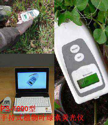 便携式叶绿素荧光仪，叶绿素荧光测定仪，植物效能效率分析仪