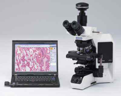 正置显微镜BX53