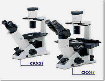 倒置显微镜CKX31/ CKX41