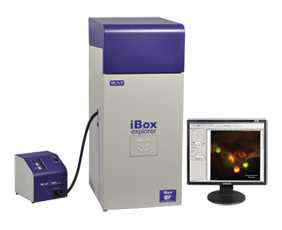 美国UVP iBox Explorer活体小动物荧光显微成像系统