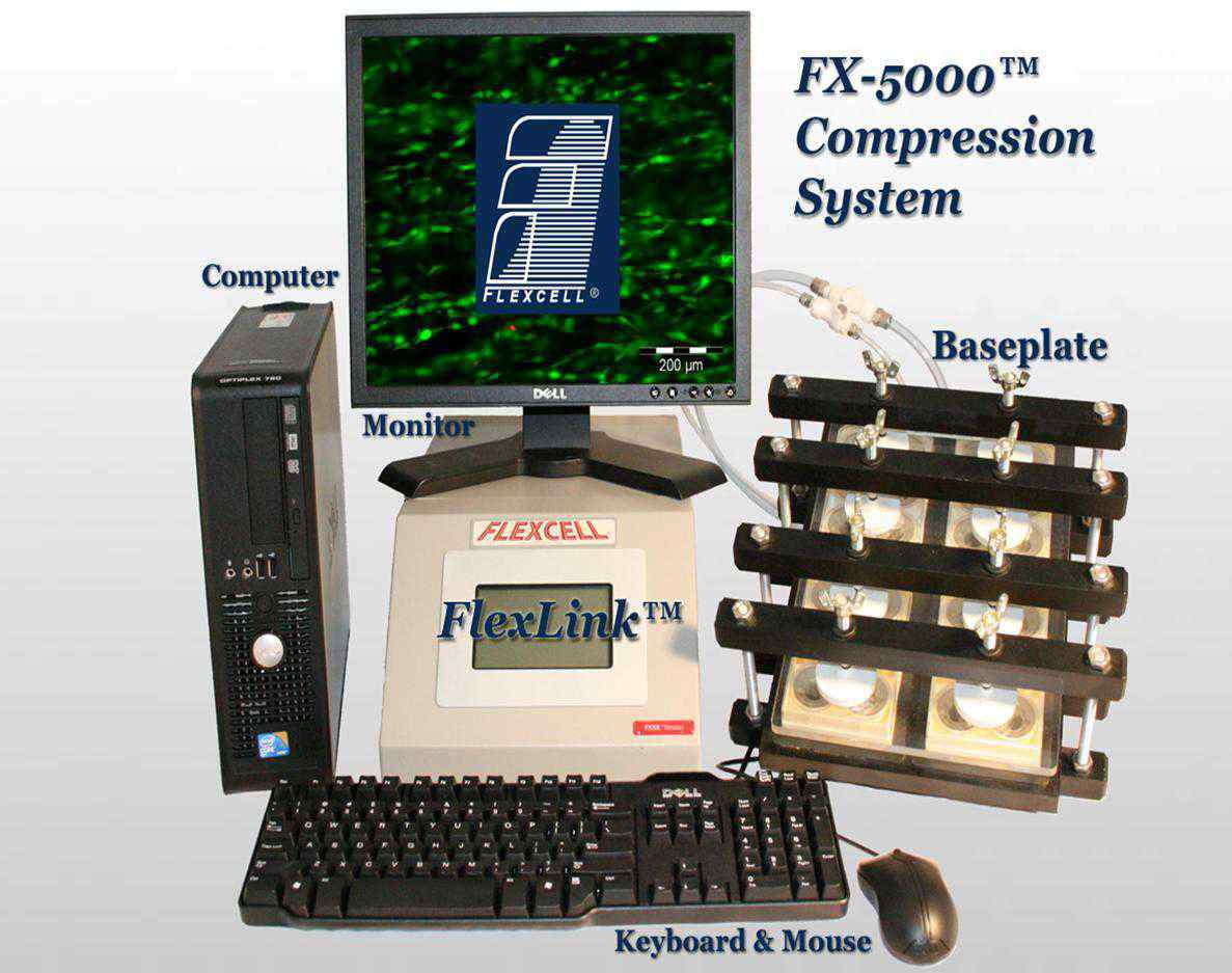 flexcell三维拉应力加载培养仪，三维压应力加载培养仪