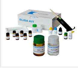 人白介素27(IL-27)ELISA试剂盒