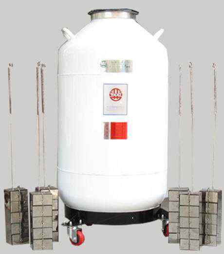 YDS-100B-200液氮容器运输贮存两用系列