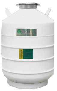 贮存式液氮罐YDS-35-125
