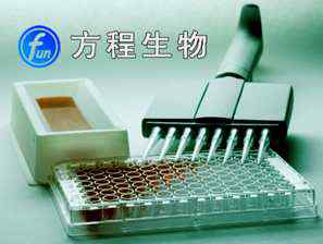 大鼠白三烯B4(LTB4)检测ELISA Kit