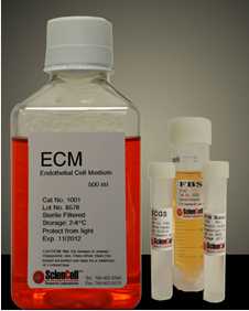 内皮细胞培养基 Endothelial Cell Medium (ECM)