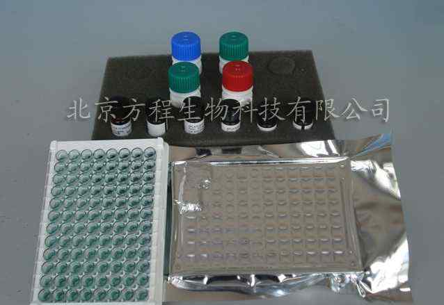 大鼠白介素16(IL-16)ELISA Kit(酶联免疫检测试剂盒)