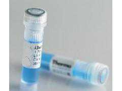 丙肝抗原（HCV NS3）