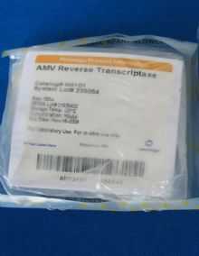通用RT-PCR试剂盒(AMV)