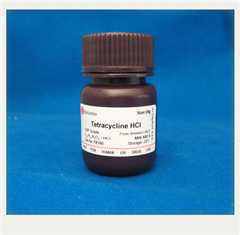 盐酸四环素；Tetracyclin HCl；0422；67-75-5（注：实验用品）