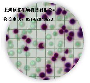 Bio-Rad E.coli 2