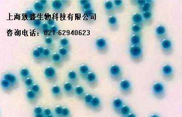 Bio-Rad坂崎肠杆菌快速筛选显色培养基