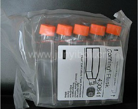 Corning/Costar75cm细胞培养瓶（透气盖）