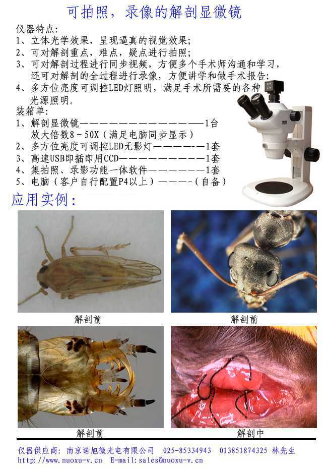 JPX-200T解剖显微镜（可拍照/录像）