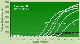 Biotium EvaGreen qPCR和HRM荧光定量PCR染料