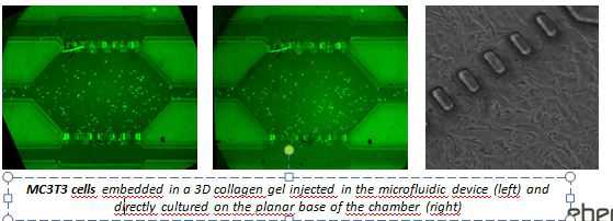 溶解氧化学物质细胞分裂细胞生长细胞微流体切应力三维芯片培养系统