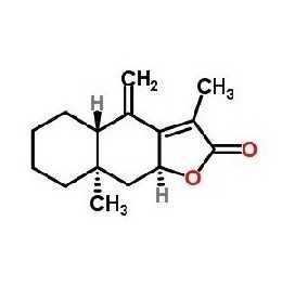 白术内酯II