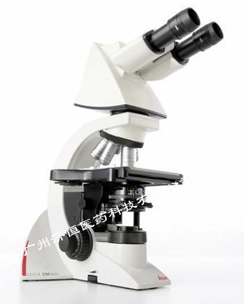 正置生物显微镜 DM1000