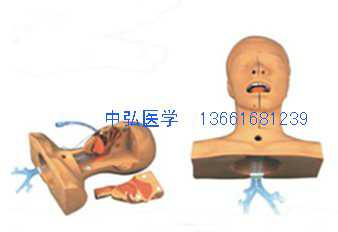 成人吸痰练习模型、吸痰护理模型