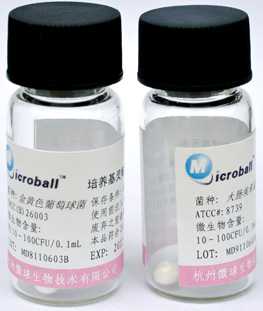 定量质控菌株Microball