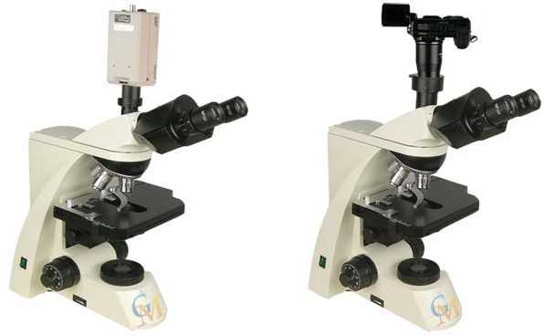 研究型生物显微镜 XSP-10C